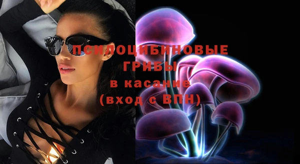 дурь Белоозёрский