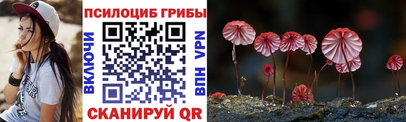 наркошоп  Видное  Галлюциногенные грибы прущие грибы 