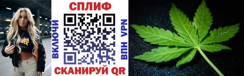 Канабис сатива Видное